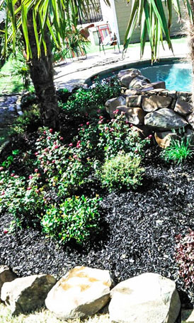 Landscape Services Rowlett Texas