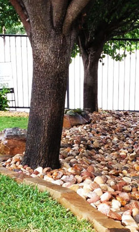 Landscaping Rockwall Texas